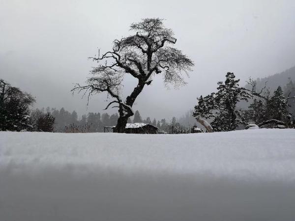 想开面馆去哪里学习？
