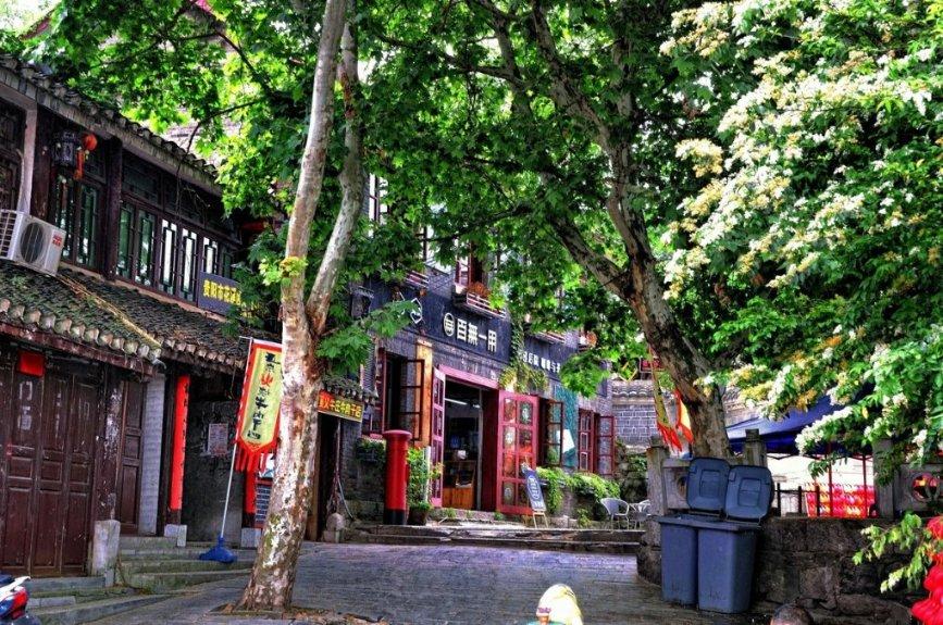小猫钓鱼开船版最新版下载